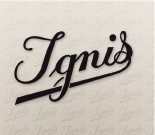 شرکت اگنس | Ignis